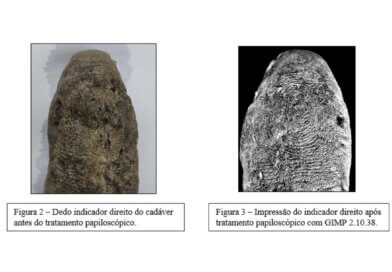 Cadáver em decomposição é identificado com rapidez por Papiloscopia